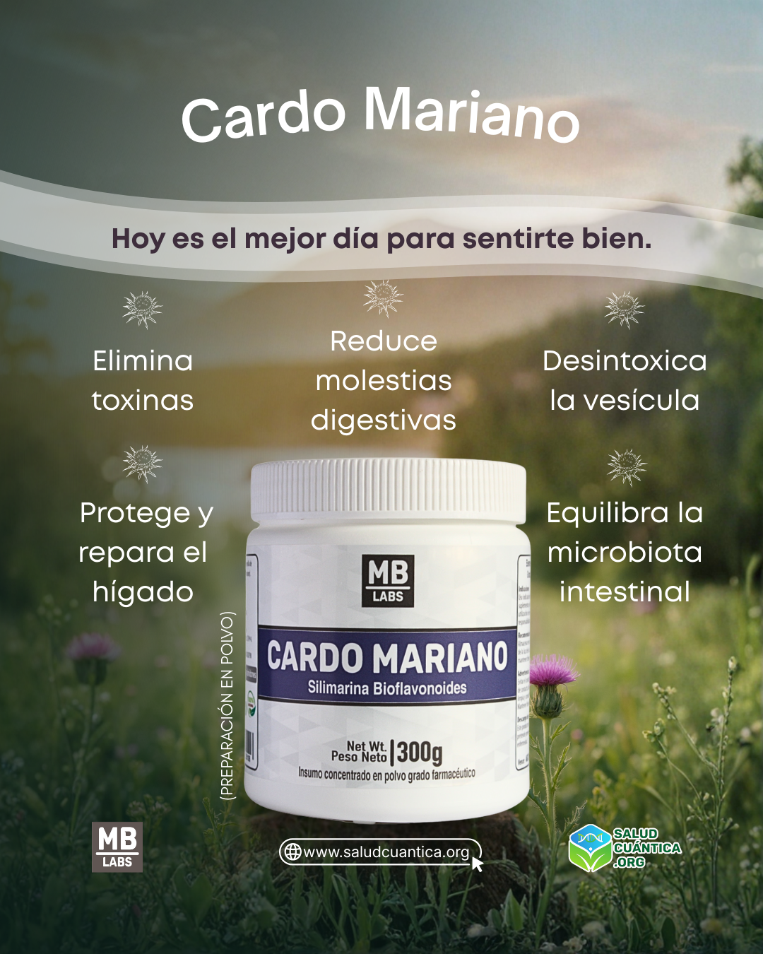 Cardo Mariano Polvo 300g - Imagen 2