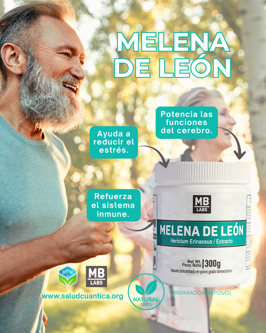 Melena de león en Polvo 300g - Imagen 4